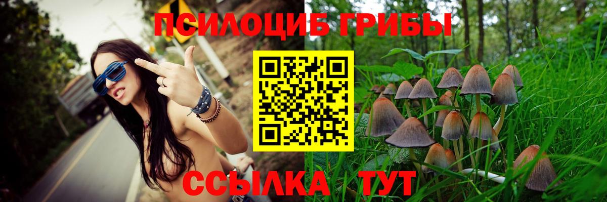 Рязань  Галлюциногенные грибы мухоморы  Псилоцибиновые грибы Psilocybe  Вход с VPN 